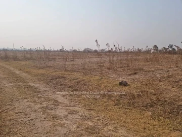 Farm & Agricultural Land