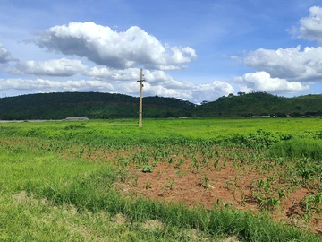 Farm & Agricultural Land