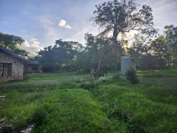 Farm & Agricultural Land