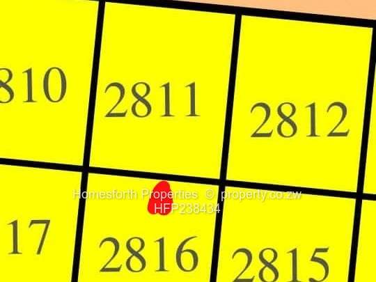 Nyeredzi pomona stands for sale (Sole Mandate)