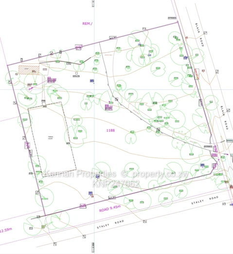 Two Acres with Stunning Msasa Trees (Sole Mandate)