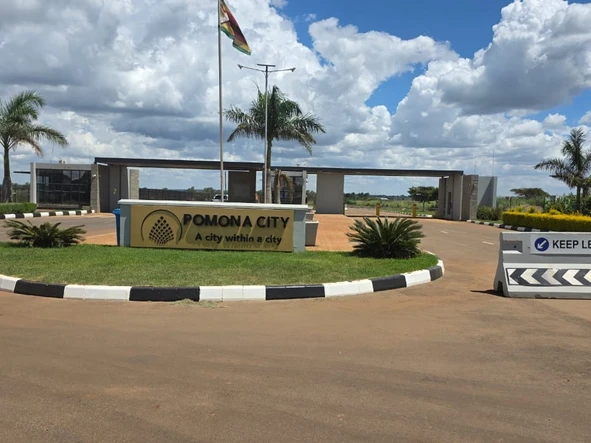 Stands & Residential Land