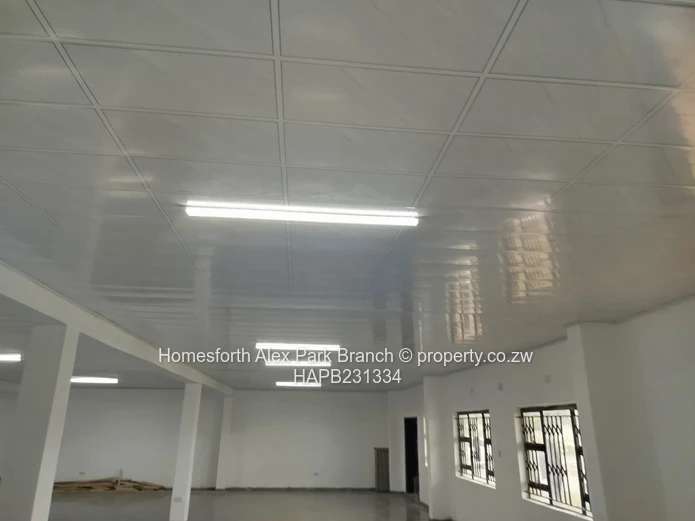 An investment opportunity...