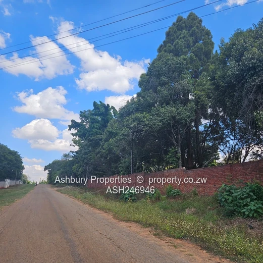 Prime Investment Opportunity in Mandara (Sole Mandate)