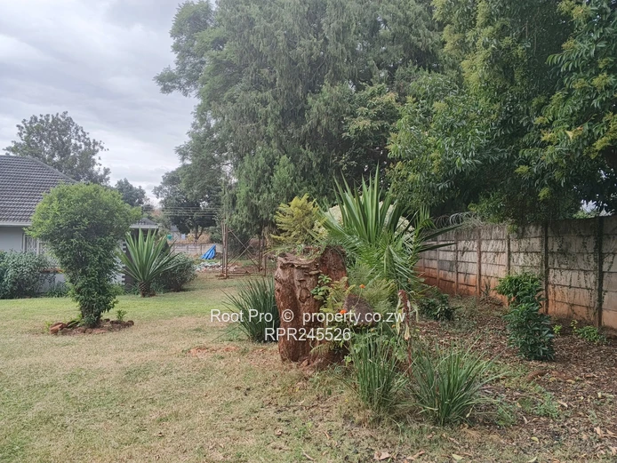 Greendale Stand for Sale 