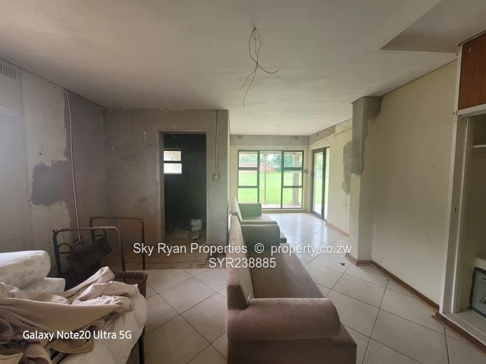 BORROWDALE  - SAM LEVY for sale 