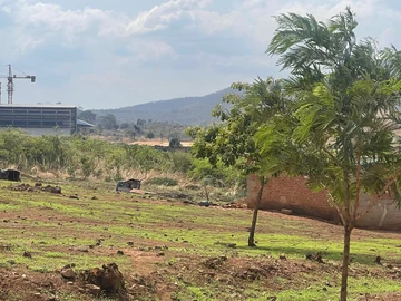 Commercial & Industrial Land