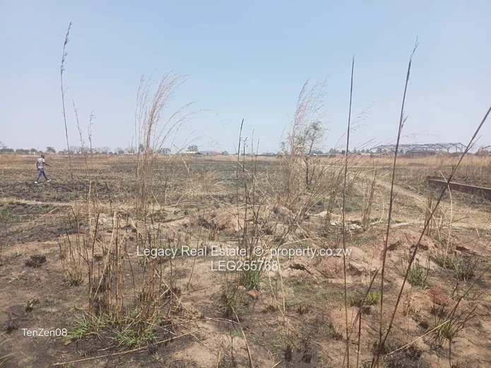 Choice of 2 by 1000m² Fairview Stand — Main Road, Fenced Frontage