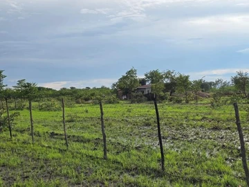 Farm & Agricultural Land