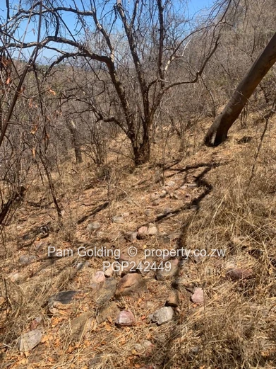 Kariba Heights Stand for Sale – Mushonga Ridge Road (Sole Mandate)
