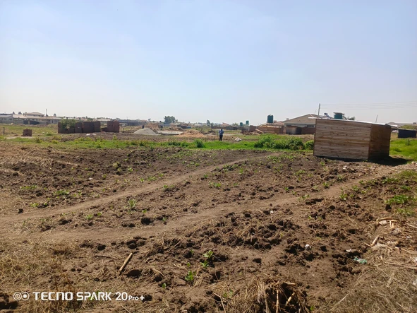 Stands & Residential Land