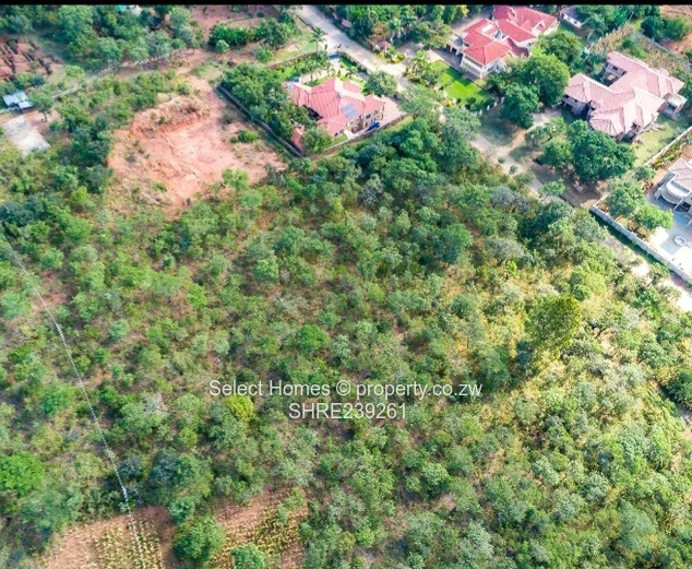 Gletwyn Stand for Sale