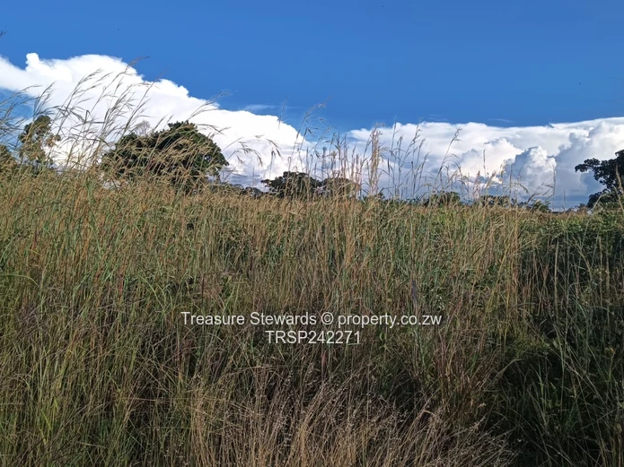 Silver Brooke Residential Stand