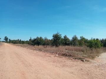 Farm & Agricultural Land