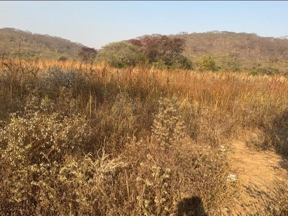 Commercial & Industrial Land