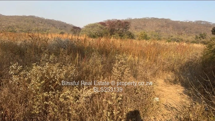 4ha Chinhoyi land for sale