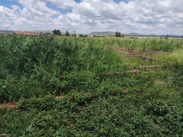 Stands & Residential Land