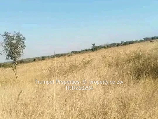 3ha Bushveld Grazing Farm in Kadoma with Gravel Road