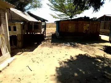 Farm & Agricultural Land