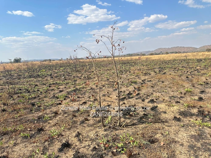 Residential stand for sale Mwashuma Park Norton