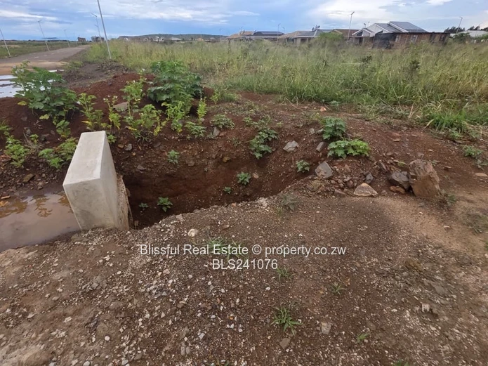 Rainham Park Stand for Sale