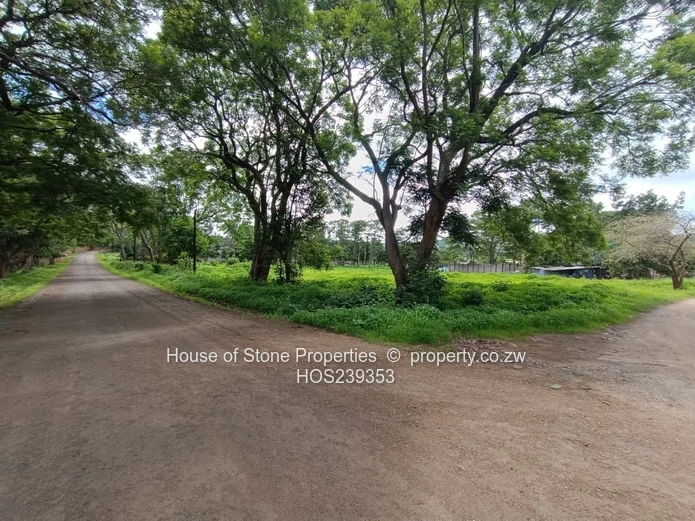 Glenlorne Stand - 1 Acre for Sale.