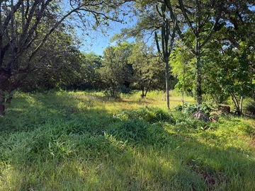 Commercial & Industrial Land