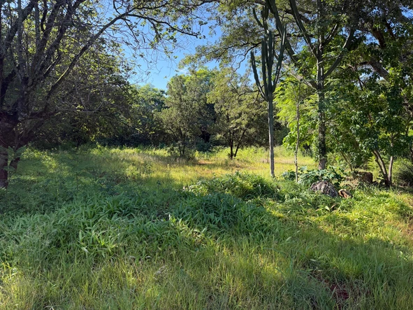 Commercial & Industrial Land