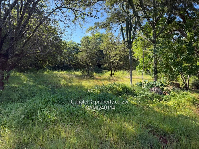 Picknic Park commercial stand with sewer,water and electricity.Clean paperwork 