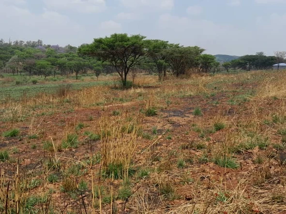 Farm & Agricultural Land