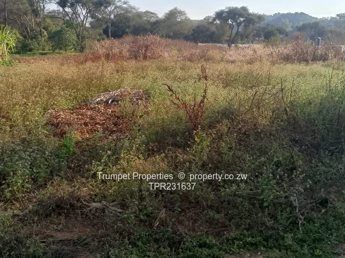 Fertile 1Ha Arable Plot in Rainham, Harare West