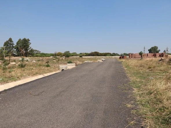 Stands & Residential Land