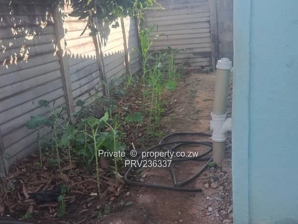 Mzilikazi house for sale 