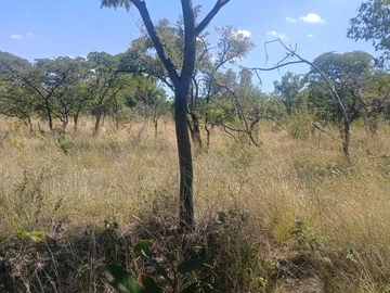 Farm & Agricultural Land