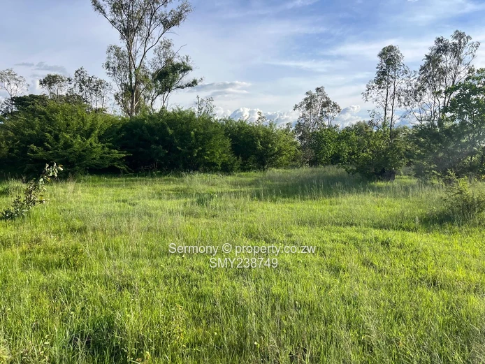 Agricultural Farm For Sale