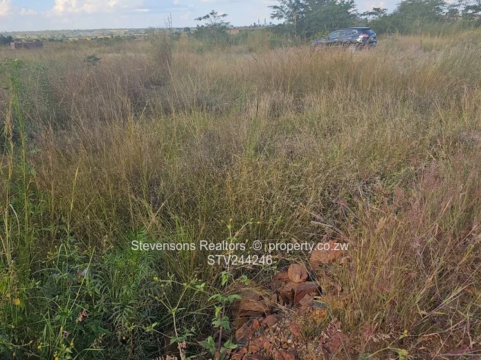 Affordable residential stands 509spm in Penrose Nyabira 