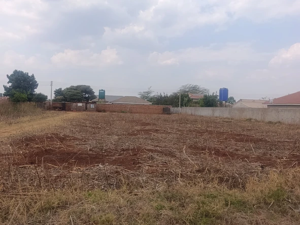 Stands & Residential Land