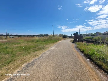 Stands & Residential Land