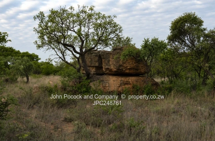 18.9 Acres in Fortunes Gate!