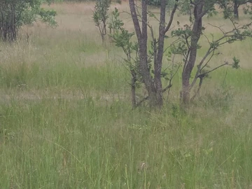 Farm & Agricultural Land