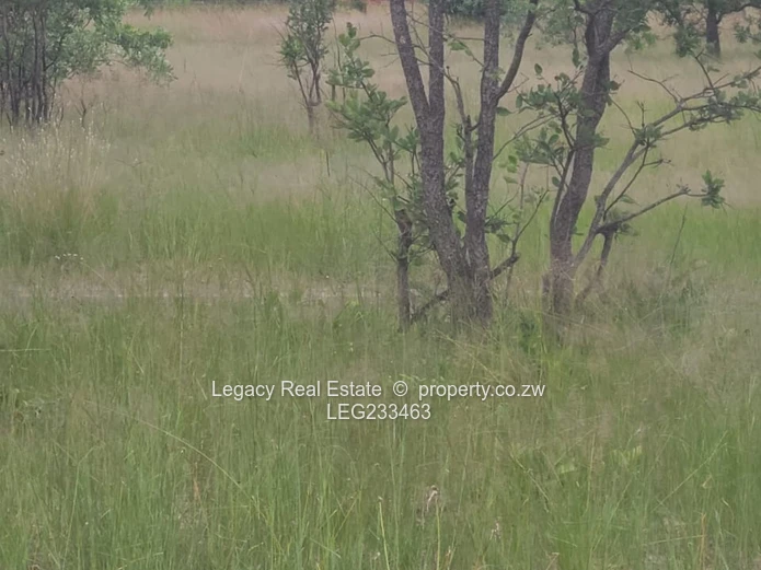 Beatrice Plot for Sale