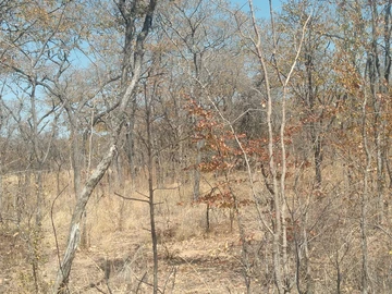 Farm & Agricultural Land