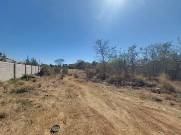 Stands & Residential Land