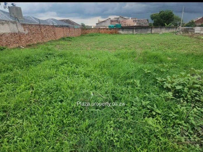 Prime opportunity in Old Zimre Park! ??