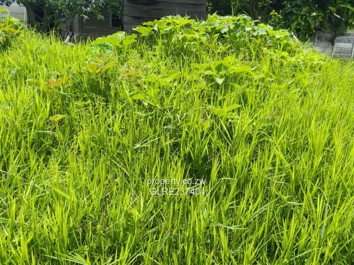 Mabelreign stand for Sale