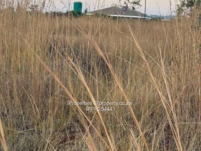 Prime 2732sqm Fully Serviced Stand - Unmatched Investment Potential (Sole Mandate)