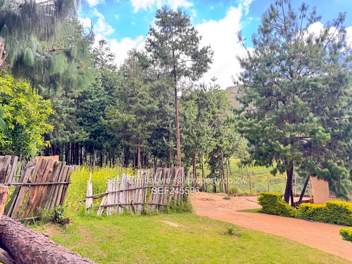 14-Hectare Agri-Residential Plot along Chamakova