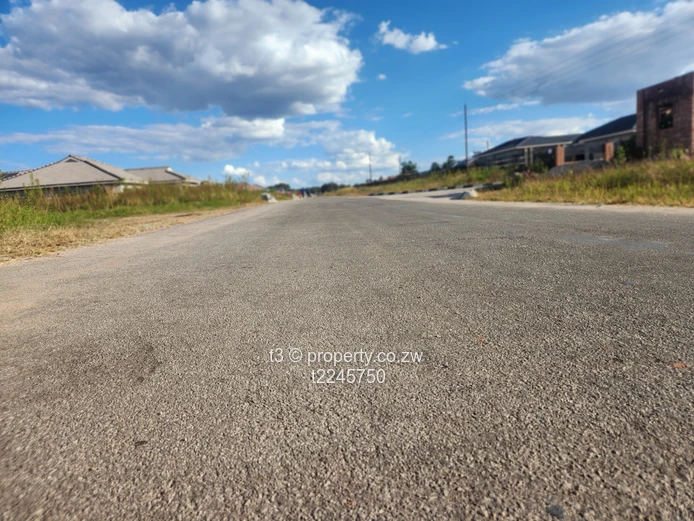 Spacious Erasmus Park Residential Stand (Sole Mandate)