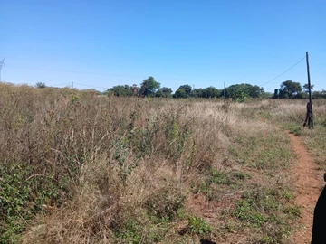 Stands & Residential Land