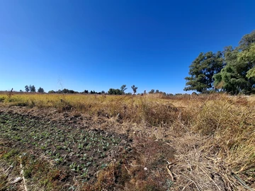 Prime Agro-Residential land For Sale